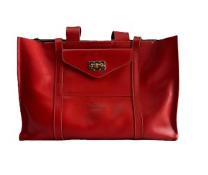 Geni Laptop Bag photo