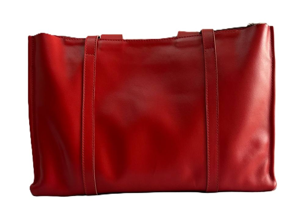 Geni Laptop Bag photo